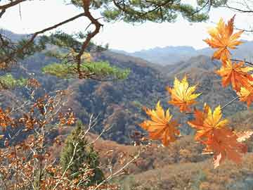 重慶市有色金屬鹽_重慶市有色金屬鹽生產(chǎn)企業(yè)