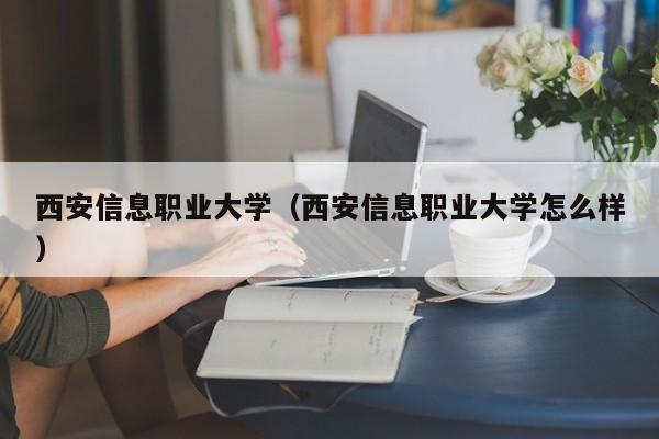 西安信息職業大學（西安信息職業大學怎么樣）