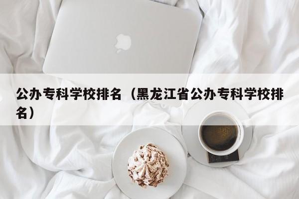 公辦?？茖W校排名（黑龍江省公辦?？茖W校排名）