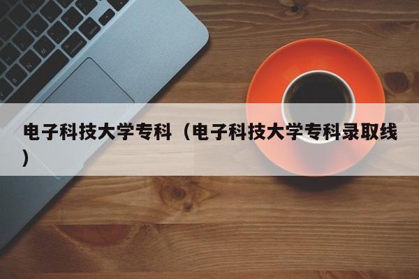 電子科技大學?？疲娮涌萍即髮W?？其浫【€）