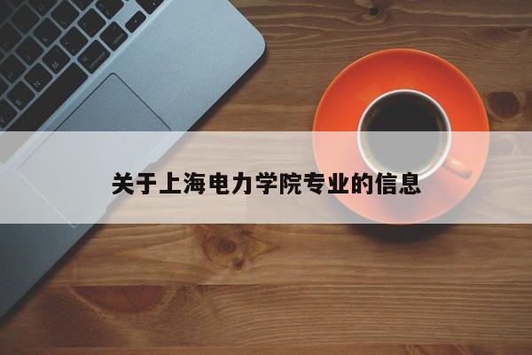 關于上海電力學院專業的信息