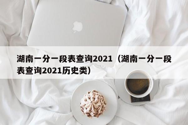 湖南一分一段表查詢2021（湖南一分一段表查詢2021歷史類）