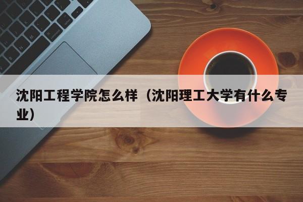 沈陽工程學院怎么樣（沈陽理工大學有什么專業）