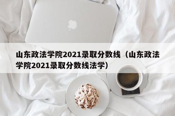 山東政法學(xué)院2021錄取分數線(xiàn)（山東政法學(xué)院2021錄取分數線(xiàn)法學(xué)）