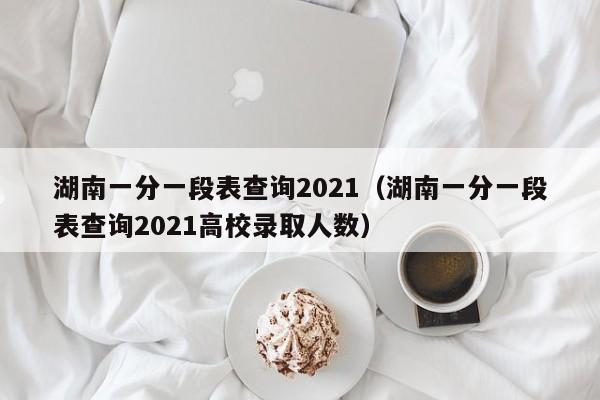 湖南一分一段表查詢2021（湖南一分一段表查詢2021高校錄取人數）