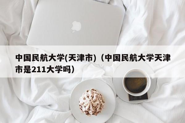 中國民航大學(xué)(天津市)（中國民航大學(xué)天津市是211大學(xué)嗎）